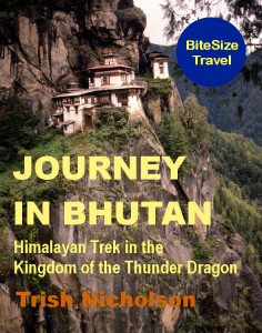 Journey in Bhutan