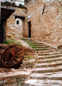 wheel and steps up