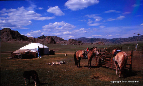 yurt and horses 3