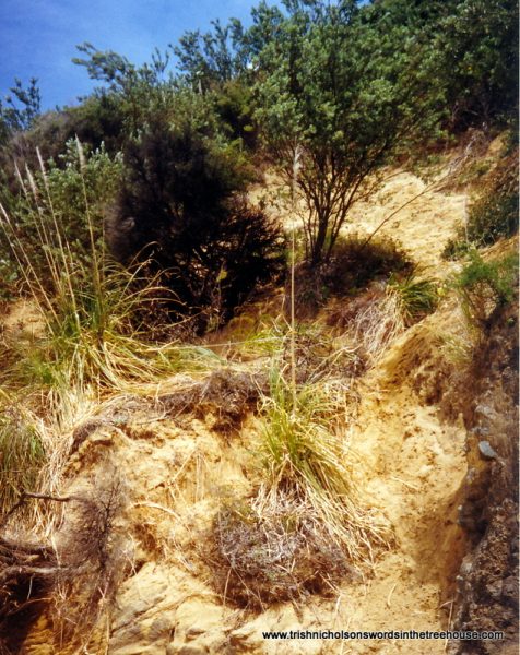 erosion on the Dune