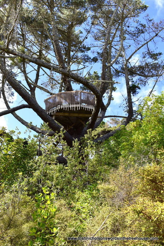 tree house in the five acre forest